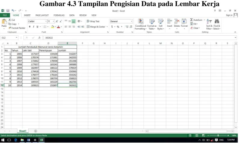 Gambar 4.3 Tampilan Pengisian Data pada Lembar Kerja 