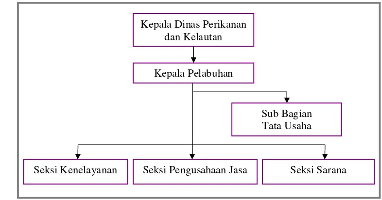 Gambar 12  Struktur organisasi UPT PPP Muncar tahun 2008. 