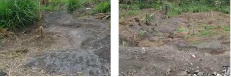 Figure 3. Farming Land Covered by Eruption Material (sand)