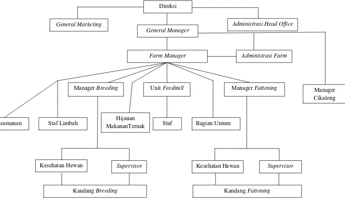 Gambar 2.  Bagan Struktur Organisasi PT Lembu Jantan Perkasa (Sumber : Arsip PT Lembu Jantan Perkasa) 