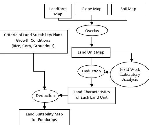 Figure 1. Land suitability for foodcrops determination process