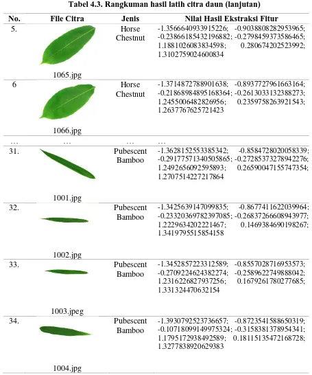 Tabel 4.3. Rangkuman hasil latih citra daun (lanjutan) 