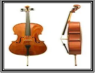 Gambar 3 :  Cello    