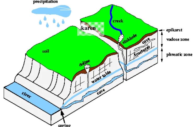 Gambar 2  Formasi awal terbentuknya karst  (Sumber: Subterra 2004) 