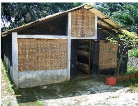 Gambar 2. Bangunan kumbung pemeliharaan di Kecamatan Ciampea. 