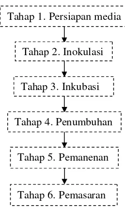 Gambar 7. Alur Teknik Budidaya Jamur Tiram Putih (Pleurotus ostreatus). 