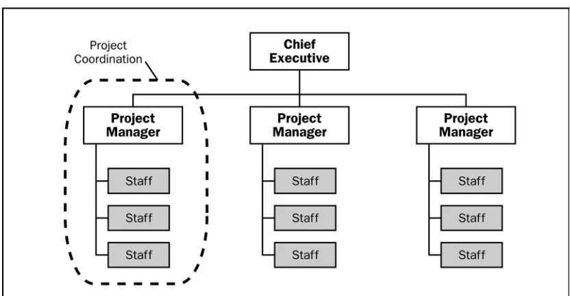 Figure 2-8. Projectized Organization 