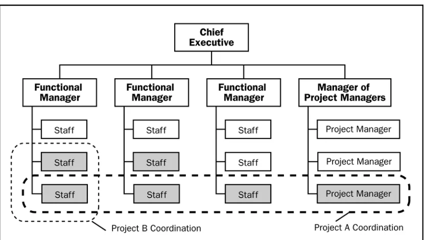 Figure 2-11. Strong Matrix Organization 