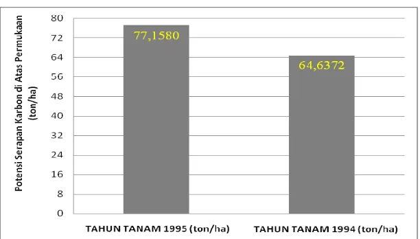Gambar 12.  Potensi simpanan total karbon pada petak tahun tanam 1995 dan   petak tahun tanam 1994  
