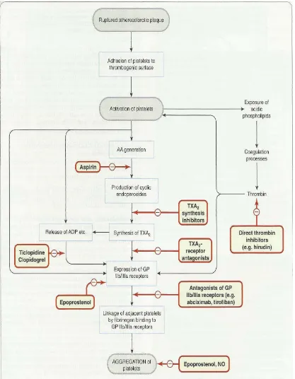 Gambar 2.3. Tempat Aksi Obat Antiplatelet (Rang et al., 2012). 