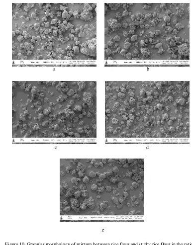 Figure 10. Granular morphology of mixture between rice flour and sticky rice flour in the ratios of                      100:0 (a), 97.5:2.5 (b), 95:5 (c), 92.5:7.5 (d), 90:10 (e) 