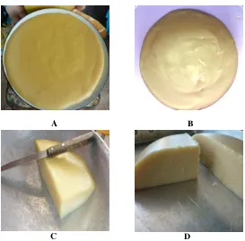 Figure 14. (A,C) Commercial rice cake; (B,D) resulted from trials  