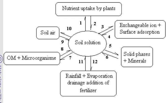 Figure 1 Relationship between the Various Components of the Dynamic Soil    