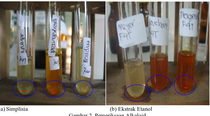 Gambar 2. Pemeriksaan Alkaloid   (b) Ekstrak Etanol  