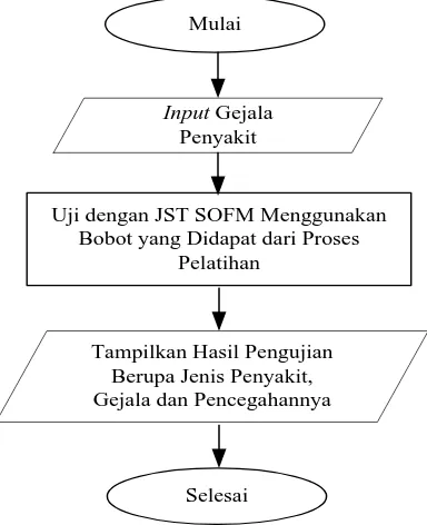 Gambar 3.2. Diagram Alir Proses Pengujian JST 