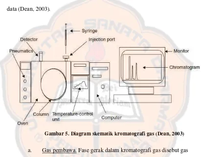 Gambar 5. Diagram skematik kromatografi gas (Dean, 2003) 