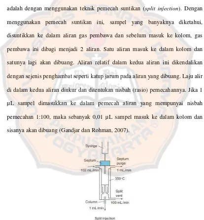 Gambar 7. Diagram  Split Injection (Harris, 2010) 