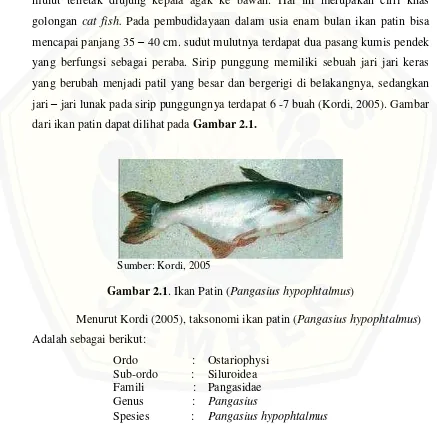 Gambar 2.1. Ikan Patin (Pangasius hypophtalmus) 