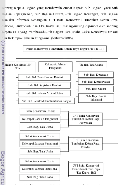 Gambar 2  Struktur organisasi Pusat Konservasi Tumbuhan KRB – LIPI. 