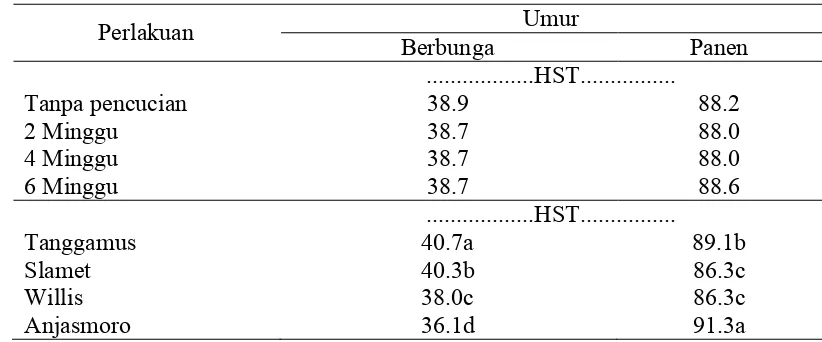 Tabel 10. Umur Berbunga dan Umur Panen pada Beberapa Waktu Pencucian dan Varietas 