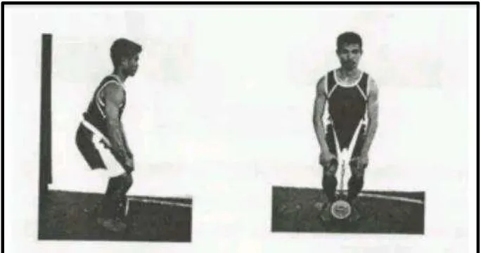 Gambar 11. Tes Kekuatan Otot Tungkai (Sumber: http://www.med-tox.com/images/Leg1.jpg) 