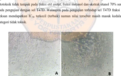 Gambar 3. Efek fraksi n-heksan terhadap pertumbuhan sel HeLa 