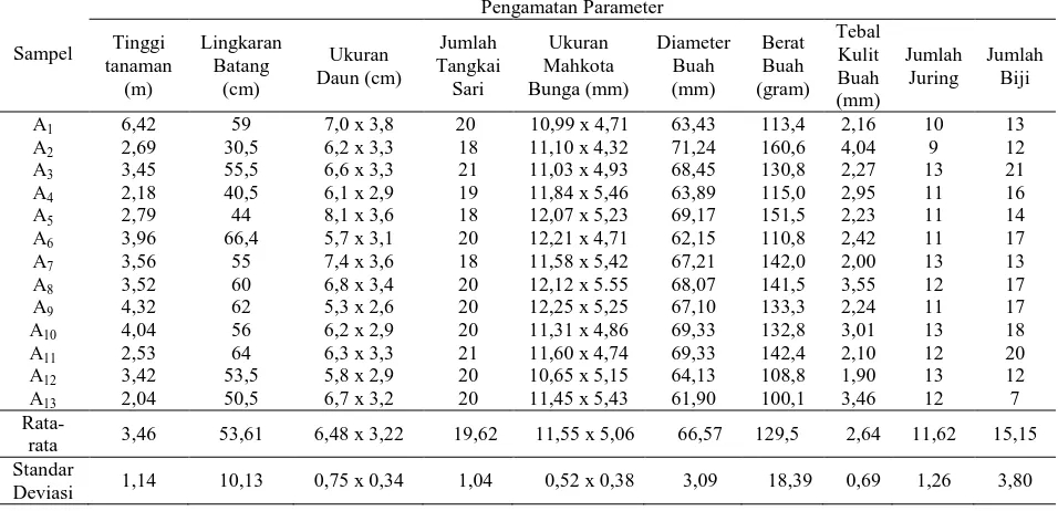 Tabel 2. Karakter-karakter morfologis tanaman jeruk di Desa Dalig Raya Pengamatan Parameter 