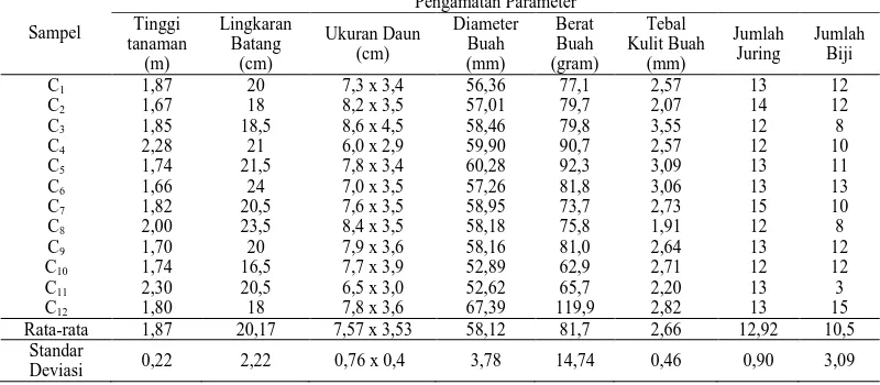 Tabel 4. Karakter-karakter morfologis tanaman jeruk di Desa Simpang Bage Pengamatan Parameter 