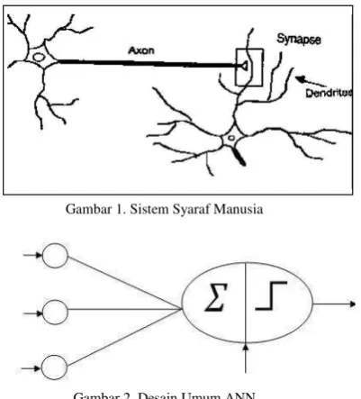 Gambar 1. Sistem Syaraf Manusia 