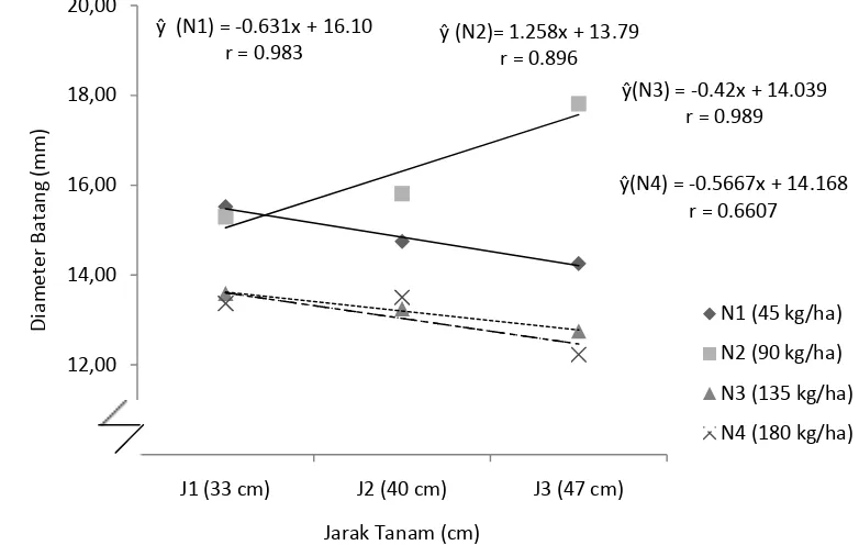 Gambar 4. Hubungan diameter batang dengan jarak tanam pada berbagai dosis pemupukan N pada umur 1 BST