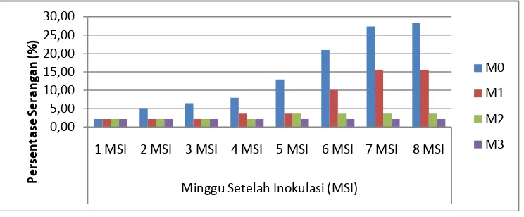 Gambar 4. Histogam pengaruh pemberian mikoriza terhadap persentase                   serangan (%) F.oxysporum 