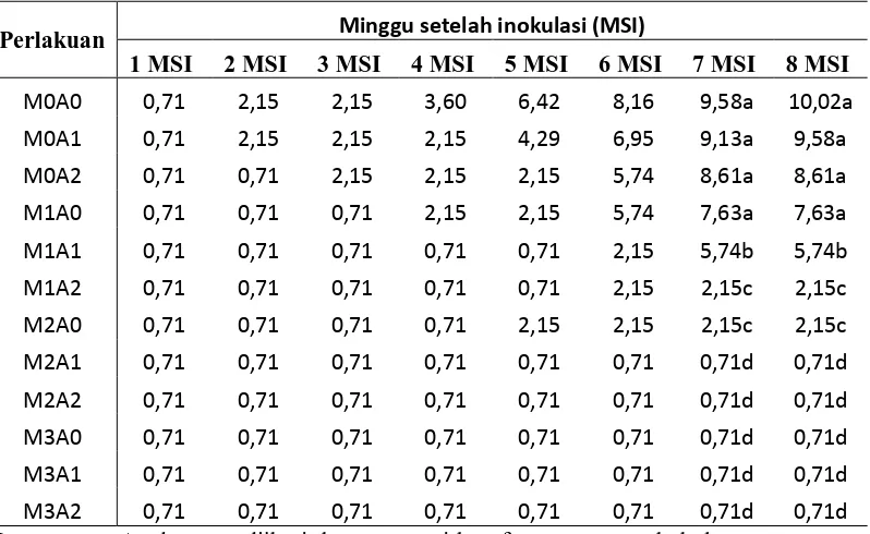 Tabel 3. Uji Rataan Persentase Serangan (%) F. Oxysporum  pada  faktor interaksi perlakuan Mikoriza (M) dengan Arang (A) untuk setiap waktu pengamatan (MSI)