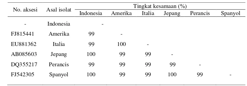 Tabel 3  Tingkat kesamaan sikuen nukleotida sebagian gen coat protein (CP) isolat TICV asal Indonesia, Amerika, Italia, Jepang, Perancis, dan Spanyol menggunakan program Bioedit V.7.0.5 