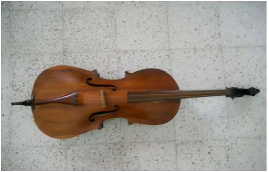 Gambar 9.  Instrumen Cello Gedhog 