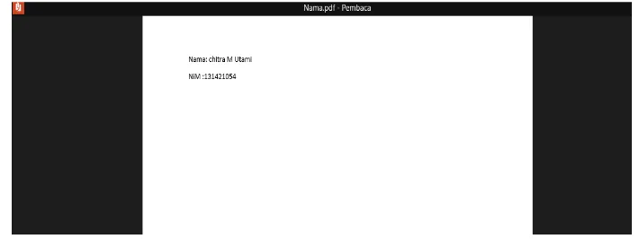 Gambar 4.6. Tampilan Isi PDF(Portabel Document File) Yang Akan Di Enkripsi 