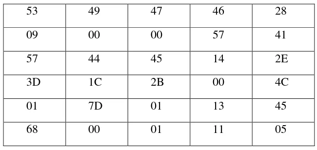 Tabel 3.4. Sampel Biner Hasil Penyisipan 