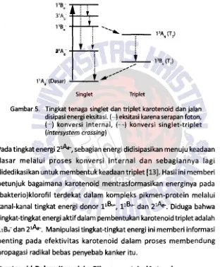 Gambar 5. Tingkat tenaga singlet dan triplet karotenoid dan jalan disipasi energi eksitasi