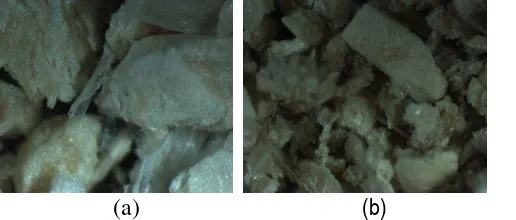 Gambar 1 Struktur serat tongkol jagung sebelum delignifikasi (a) dan setelah deligninifikasi (b) (Mikroskop cahaya pada perbesaran 20x) 