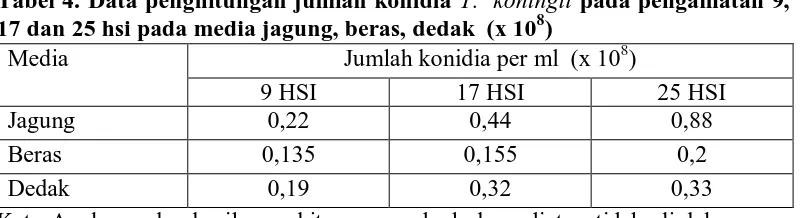 Tabel 4. Data penghitungan jumlah konidia T.  koningii17 dan 25 hsi pada media jagung, beras, dedak  (x 108) Media Jumlah konidia per ml  (x 10