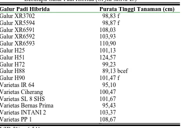 Tabel 1.  Hasil Uji LSD 5% Terhadap Tinggi Tanaman Pada   Beberapa Galur Padi Hibrida (Oryza sativa L.)  