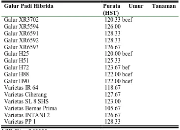 Tabel 3.   Hasil Uji LSD 5 %  Terhadap Umur Tanaman Pada Beberapa Galur Padi Hibrida (Oryza sativa L.)  