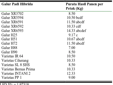 Tabel 9.  Hasil Uji LSD 5%  Hasil Panen per Petak pada Beberapa Galur Padi Hibrida (Oryza sativa L) 