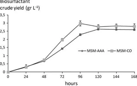 Fig. 2 Biosurfactant crude production after 168 h of incubation ofB. megaterium with carbon sources consisting of ammonium acetate(MSM-AA) and crude oil (MSM-CO), where n = 3