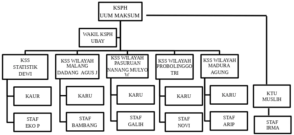 Gambar 3.1 Struktur Organisasi SPH IV Malang