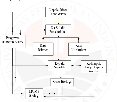 Gambar 1.1.  Struktur organisasi Pembinaan guru (biologi) SMU di Dinas Pendidikan      Kota Tasikmalaya (2002) 