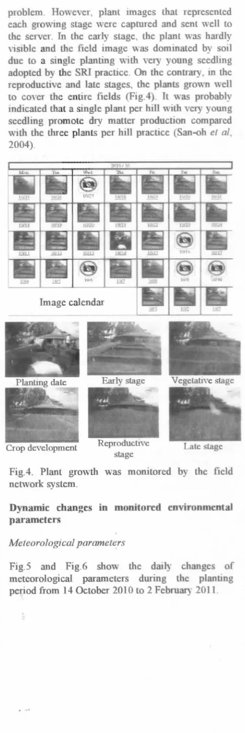 Fig.4. Plant growth was monitored by the fieldnetwork system.