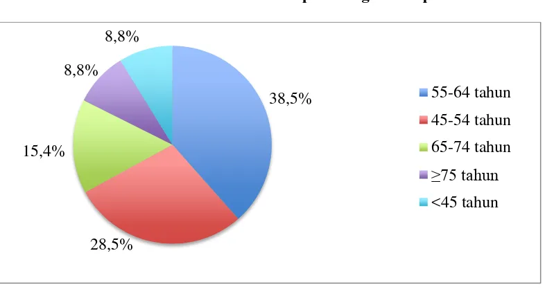 Gambar 5.1 Diagram Pie Distribusi Proporsi Penderita DM Tipe 2 dengan Komplikasi TB Paru yang Dirawat Inap Berdasarkan Umur di Rumah Sakit Umum Daerah Hadrianus Sinaga Pangururan Kabupaten Samosir Tahun 2011-2016 
