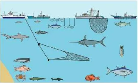 Gambar 8. Teknologi alat penangkap ikan di high sea