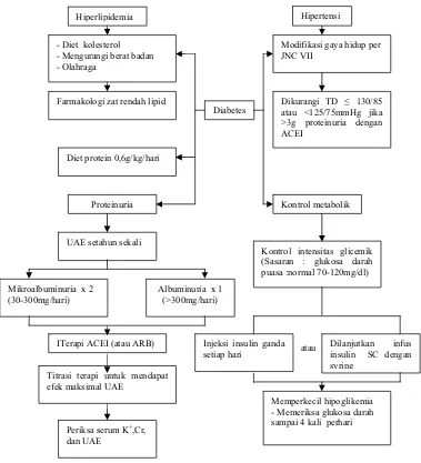 Gambar 2. Algorithma Pengobatan Penyakit Ginjal Diabetik (Diabetik CKD) 