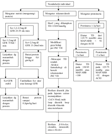 Gambar 3. Algorithma Pengobatan Penyakit Ginjal Nondiabetik  (Nondiabetik CKD) (Dipiro et al., 2005) 